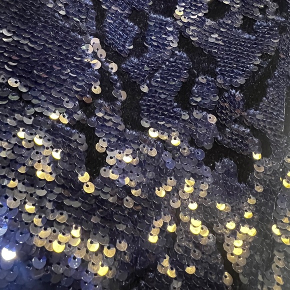 Like New! [ett:twa] Navy Blue Velvet X Sequin {Anthro} Stretch Jogger Pants | XL - Picture 10 of 14